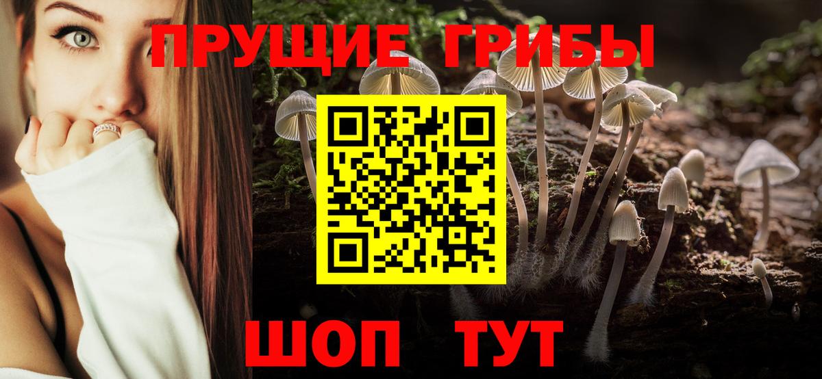 Псилоцибиновые грибы GOLDEN TEACHER Лангепас